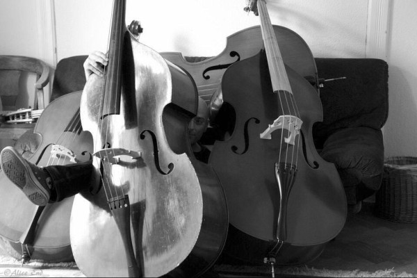 10157281 10203535826057488 7081887576307166710 n 10157281 10203535826057488 7081887576307166710 n